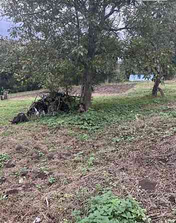 Продаж земельної ділянки 40 соток на Лугова Цвіжин