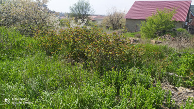 Продаж земельної ділянки 0.1 соток на ул. Хаджибеевская, 27 Нерубайське - фото 3