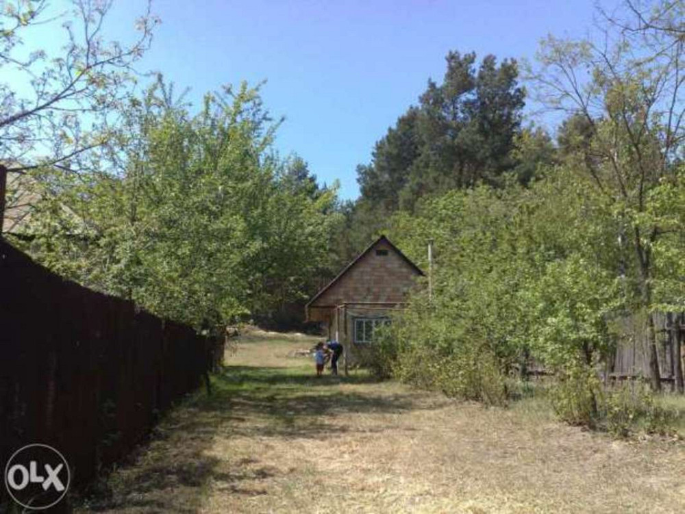 Продаж земельної ділянки 25 соток Проців - фото 1