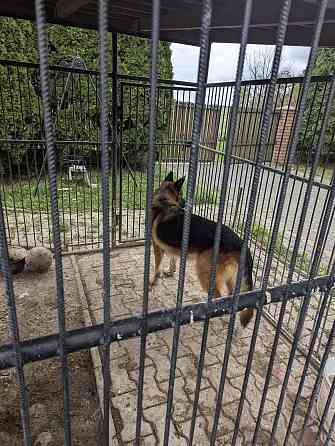 Продаж Будинок на Слобідська Одаї