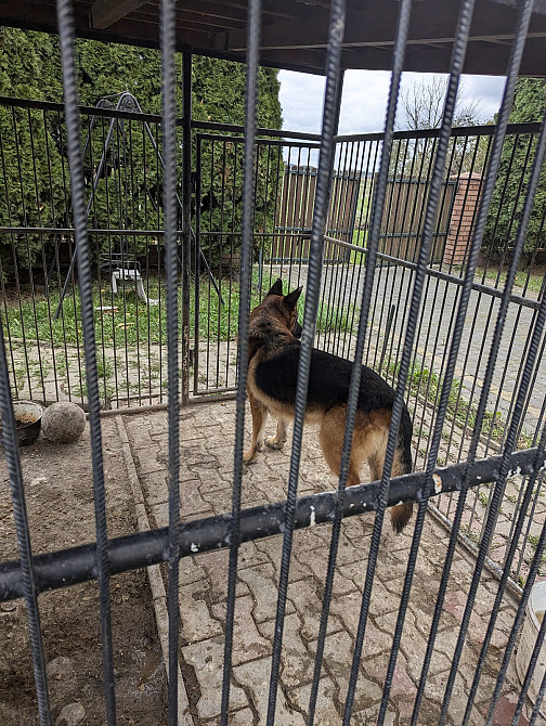 Продаж Будинок на Слобідська Одаї - фото 4