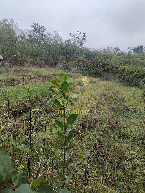 Продам будинок Кренечі Креничи - изображение 4