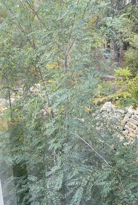 Продаж Будинок на Бабушкина ул., 2/11 Одеса - фото 14