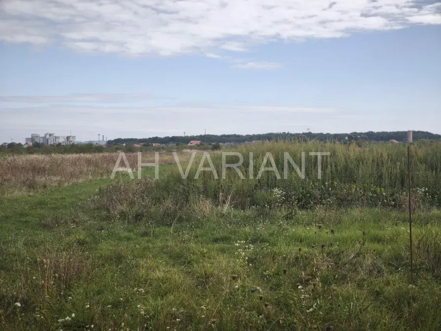 For sale land plot For agricultural activities area 20 ares Чонкаші Storozhnytsia - photo 4