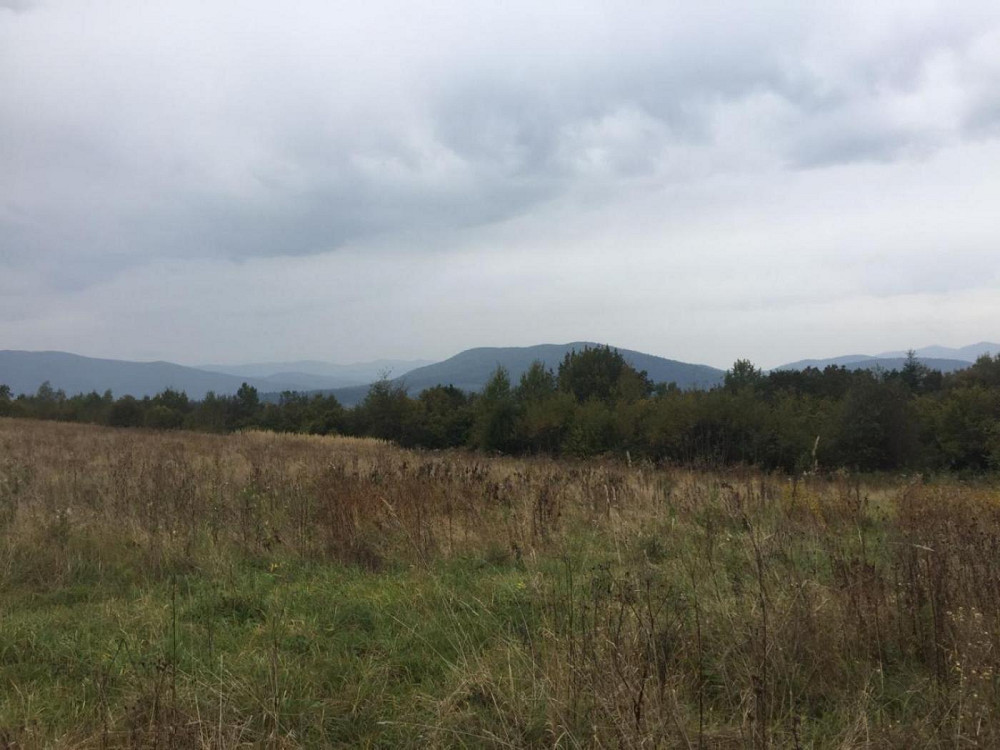 Продаж земельної ділянки 75 соток на вул. Шевченка Верхнє Синьовидне - фото 12