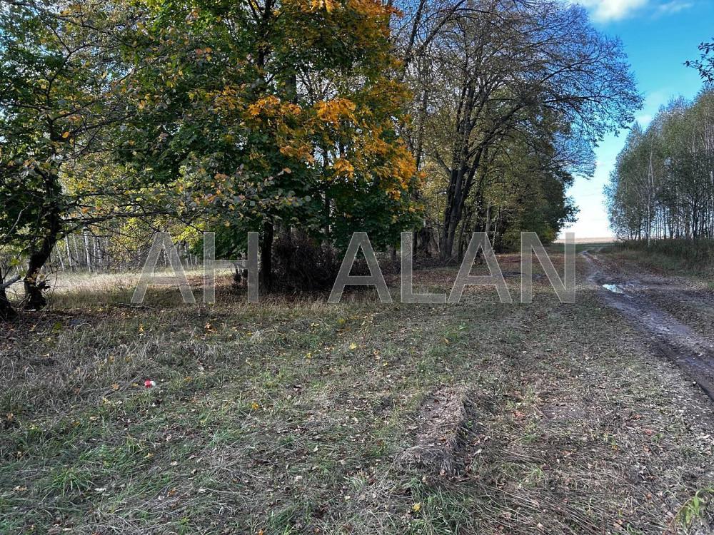 Продаж земельної ділянки 12 га на вул. Сонячна Завалівка - фото 14