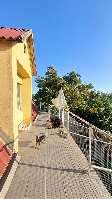 дом для большой семьи в Корсунцах Одеса - фото 3