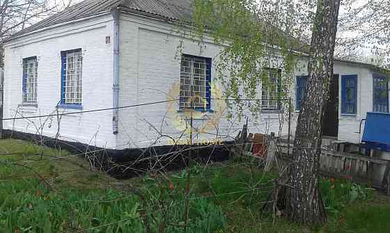 Продам будинок на 65 сотках землі, Косяківка Косяківка