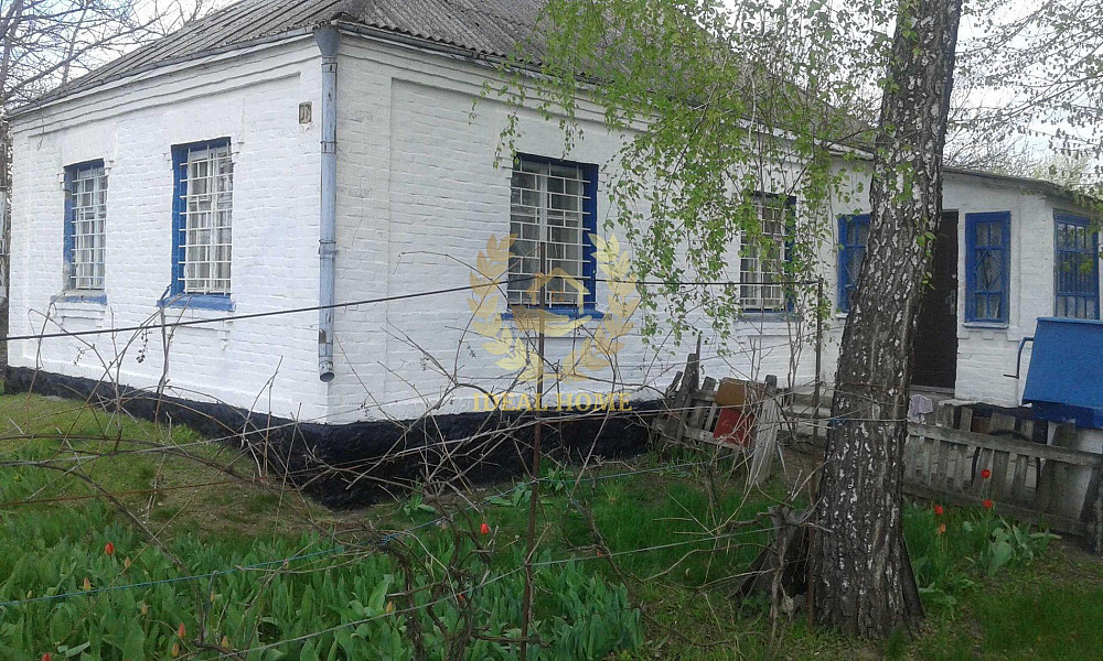 Продам будинок на 65 сотках землі, Косяківка Косяківка - фото 3