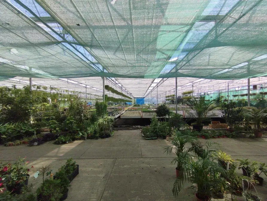 Здається Будівля / павільйон / комплекс площа 2200 кв.м Минай Патруся Карпатського Минай - фото 2