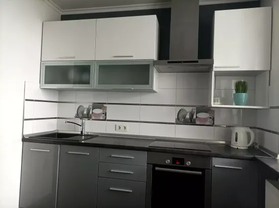 Оренда Квартира 1-кімнатна, 21/26 поверх на вул.Драгоманова, 6/1 Київ