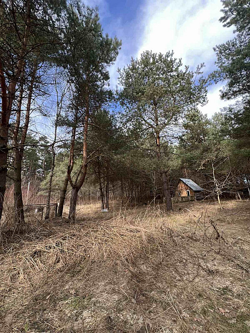 Продаж земельної ділянки 53 соток на вул. Шевченка Rodatychi - photo 5