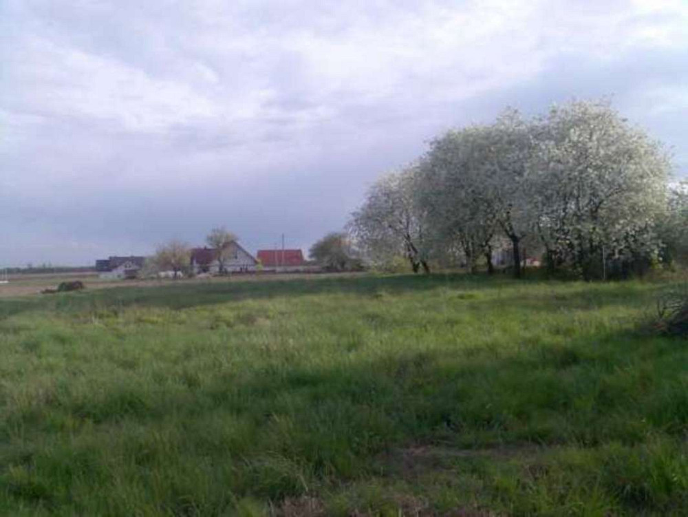 Продаж земельної ділянки 18.6 соток на Учительская  - фото 4