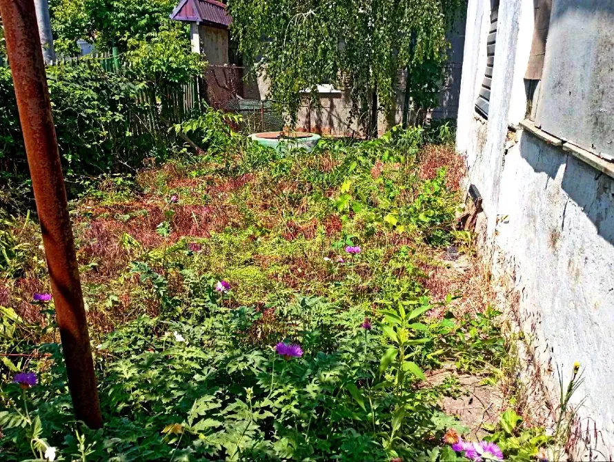 For sale land plot For the construction of a private residential building area 4.9 ares Мала Садова вулиця, 19 Odessa - photo 3