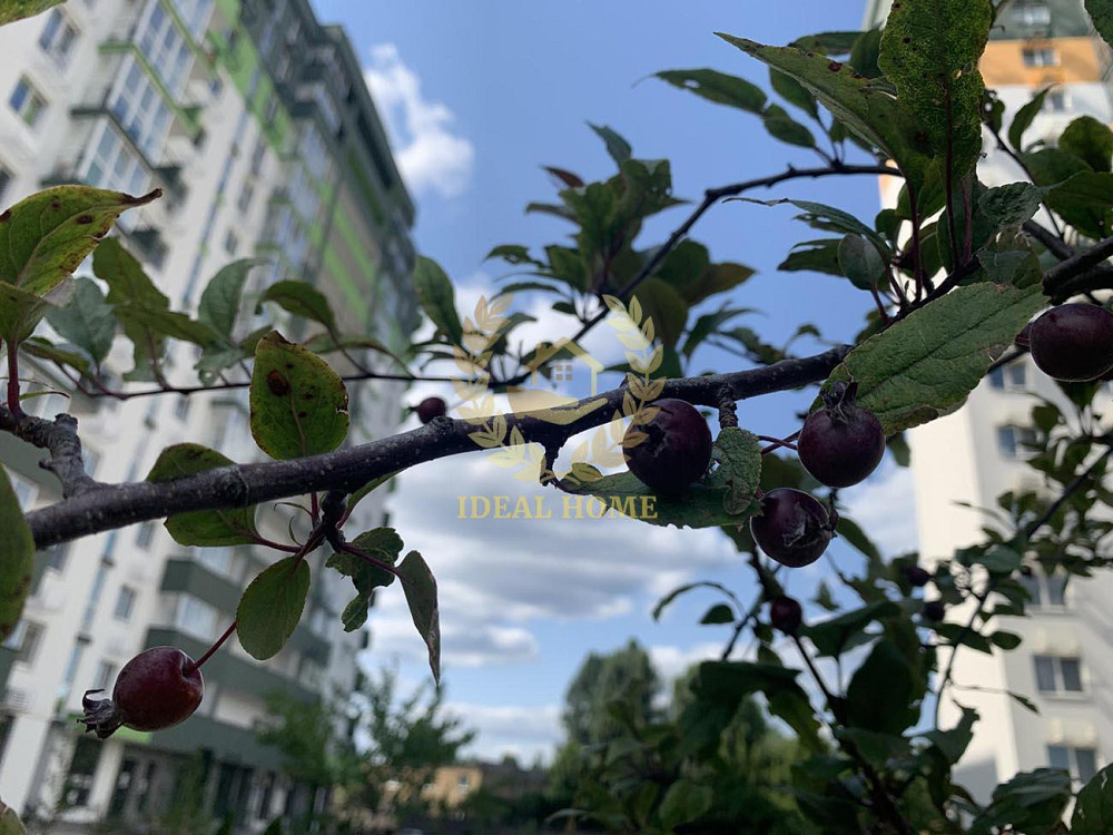 Продам 1-кімнатну квартиру в ЖК Сирецькі Сади Kiev - photo 12