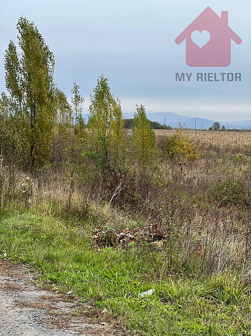 Продаж земельної ділянки 15 соток Tyihlash - photo 1