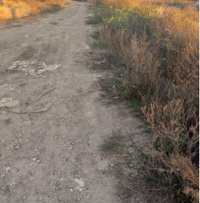 Продаж земельної ділянки 10 соток на ул. 1-я Железнодорожная, 20 