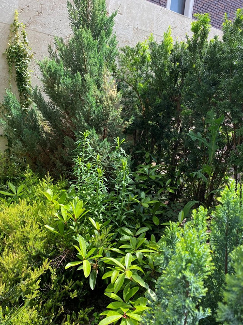 Новый дом  мечты в Кордонном переулке 10 Фонтана Одеса - фото 16