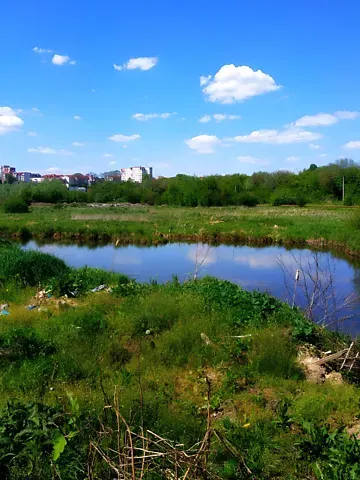 For sale land plot  area 40 ares Будного вулиця  - photo 9