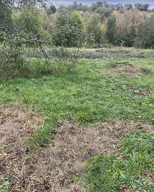 Продаж земельної ділянки 40 соток на Лугова Цвижин - изображение 5