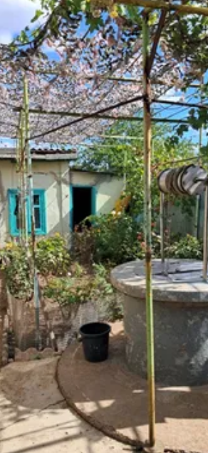 Продам дом с газом и удобствами в Светлом (Старые дачи, 5 км от Одессы) Світле - фото 11