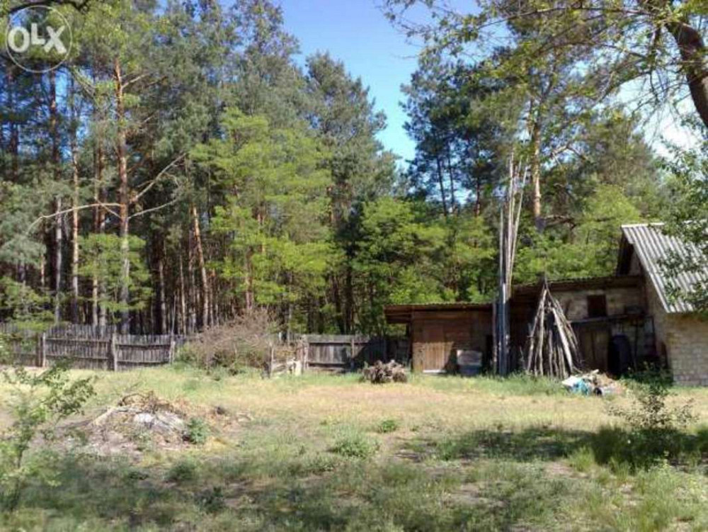 Продаж земельної ділянки 25 соток Проців - фото 2