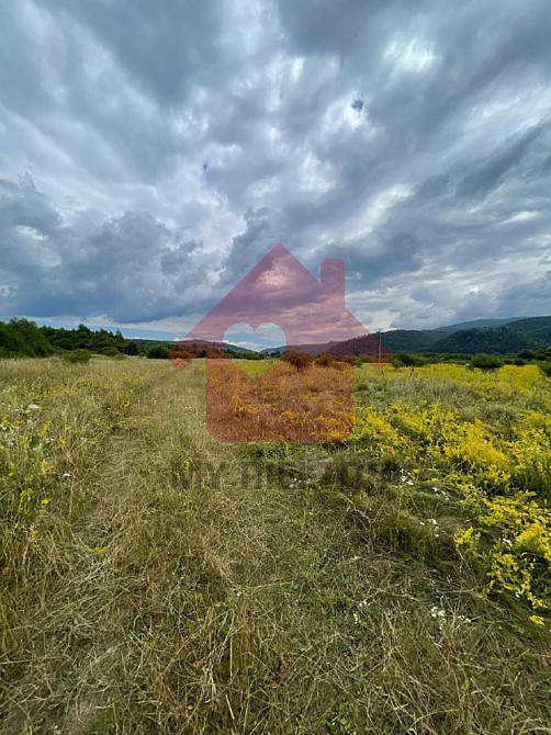 Продаж земельної ділянки 0 соток на Невицьке  - photo 3