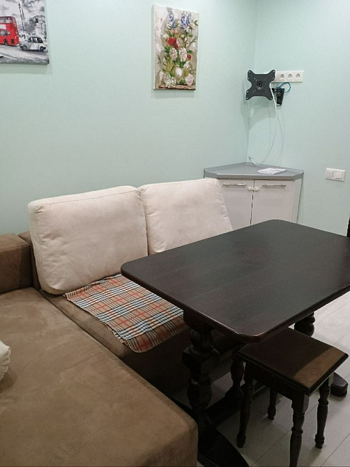 Оренда Квартира 1-кімнатна, 9/12 поверх на Боголюбова, 12 Київ - фото 6