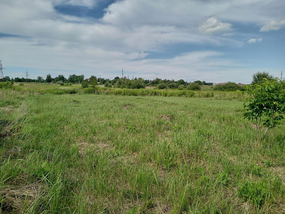 Продаж земельної ділянки 8 соток на вул. Стуса Пидрясне - изображение 2