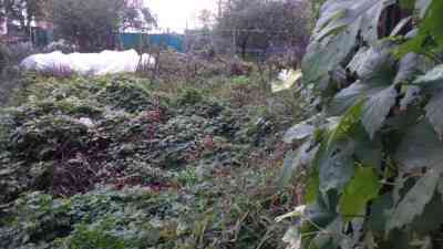 Продаж земельної ділянки 0.3 соток на ул. Глинки, 29 Одеса