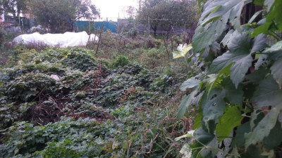 Продаж земельної ділянки 0.3 соток на ул. Глинки, 29 Одеса - фото 2