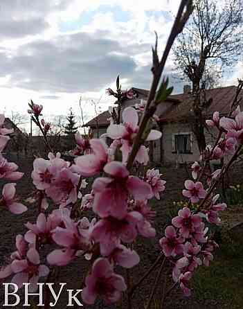 Продаж Будинок на вул. Національного Відродження Тернопіль