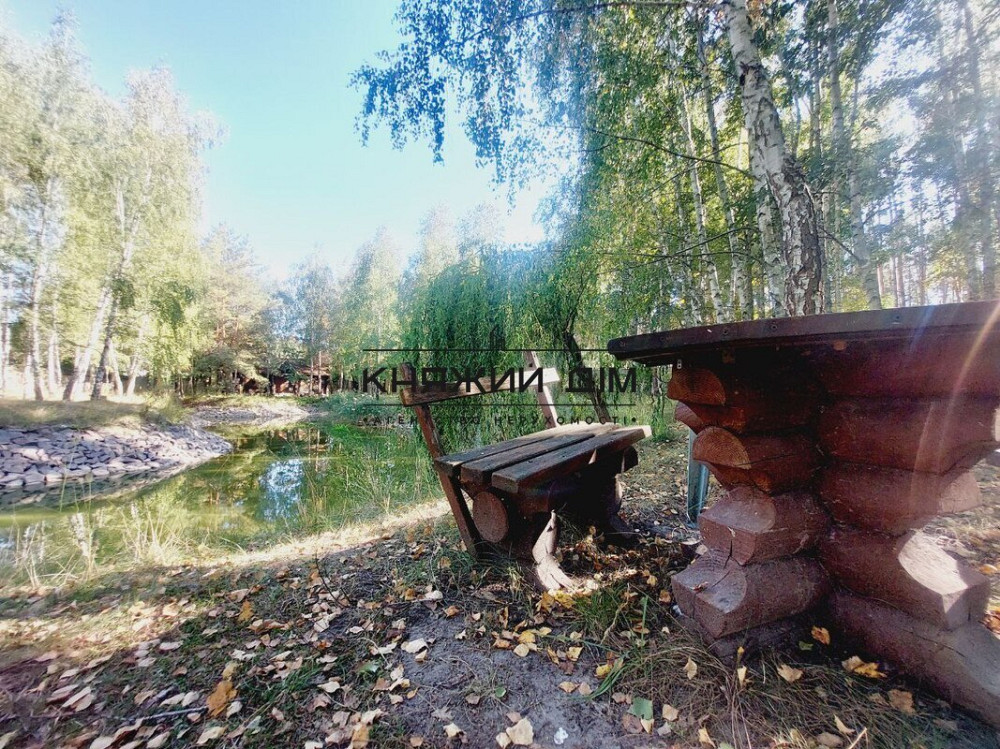 Без комісії .Є Генератор .Оренда, будинок в Колонщині . Код Об'єкта 135973 Колонщина - фото 14