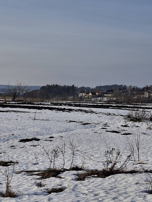 Продаж земельної ділянки 8 соток на вул. Сивулька, 27  - photo 3