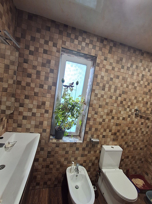 Продаж Будинок 3-кімнатний Solonka - photo 8