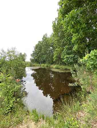 Продаж земельної ділянки 10 соток на Давидівка Житомир