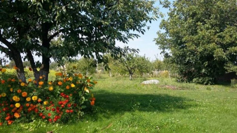 Продаж земельної ділянки 20 соток Головурів - фото 8