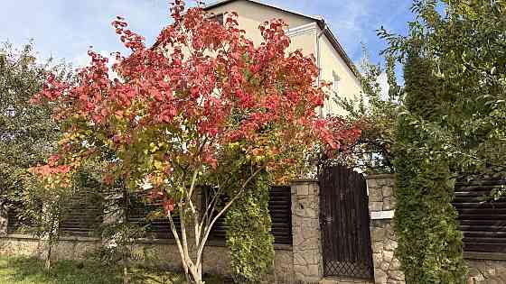 Продаж окремого будинку з ремонтом і ділянкою 11 сотих у с. Біла 