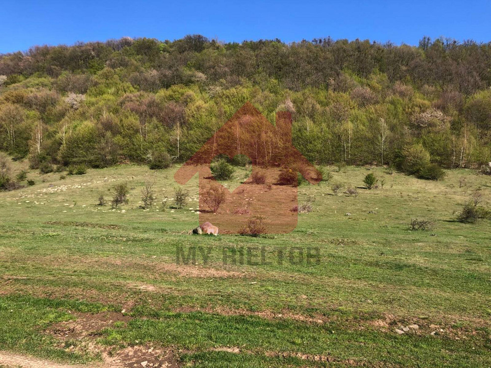 Продаж земельної ділянки 1 га  - изображение 5