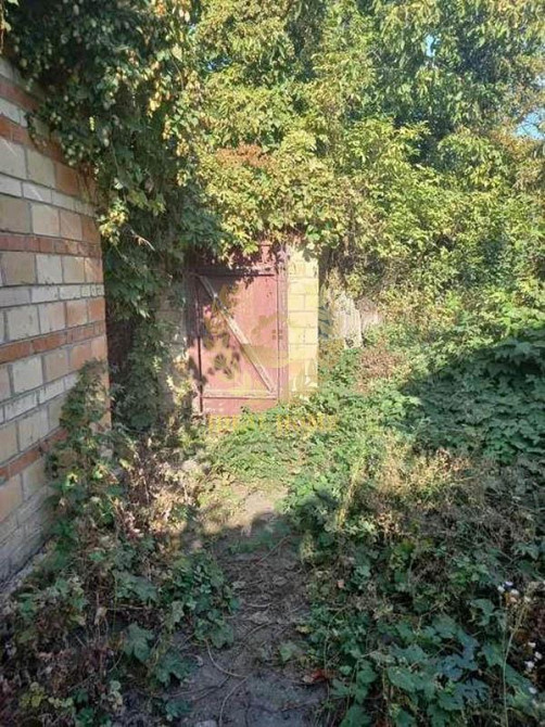 Продам будинок 50 км. від Києва село Пшеничне Київська обл.  - фото 5