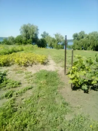 Продаж 1-поверховий Будинок з ділянкою 25 сот 67 кв.м 4 кімн. на с Діброва Дніпро