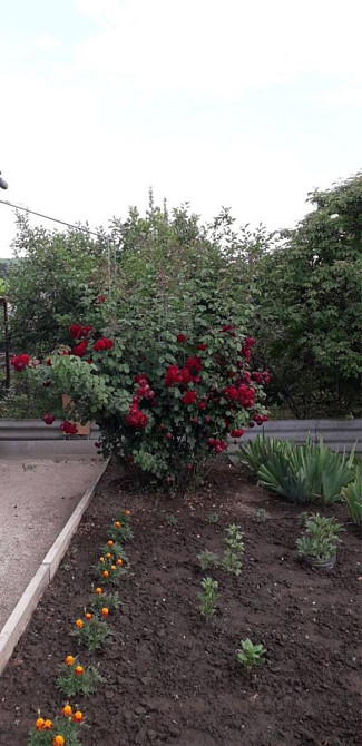 Продам дачу. селище Кондаурове Кропивницький - фото 9