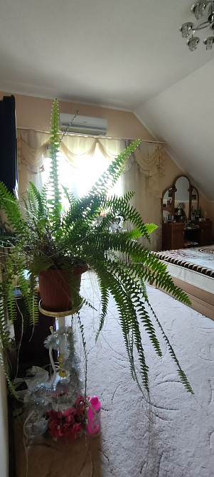 Дом на берегу лимана Nerubaiske - photo 10