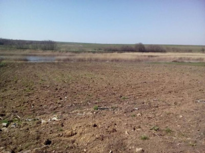 Продаж земельної ділянки 5.2 соток на ул. Массив ?, 33 Нерубайське - фото 2