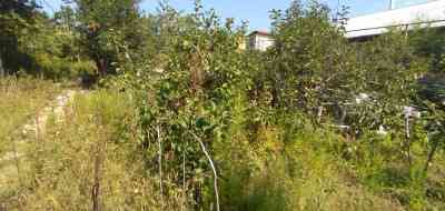 Продаж земельної ділянки 0.1 соток на ул. Николая Гумилева, 8 Odessa