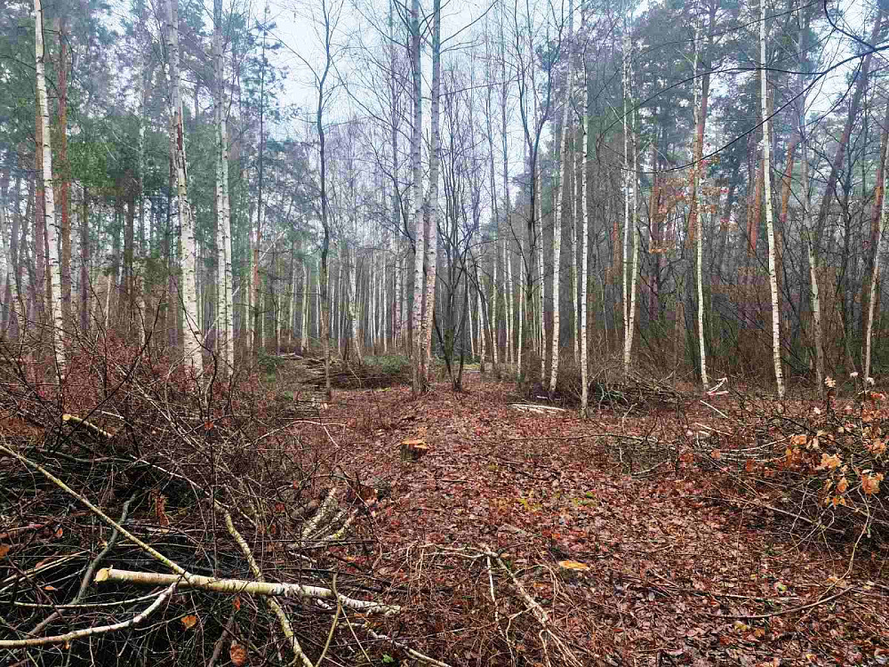 Продаж земельної ділянки 24 соток  - фото 9