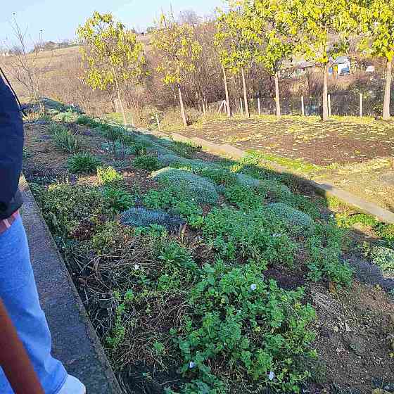 Продаж Будинок 4-кімнатний на просп. Шевченко, 15а 