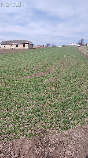 Продаж Будинок на вул. Садова Hrabovets - photo 4