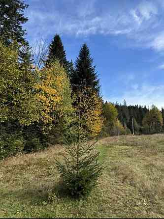 Продаж земельної ділянки 53.33 соток 