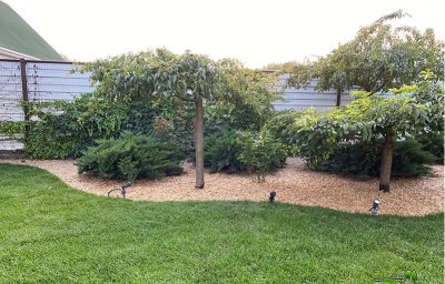 Продаж земельної ділянки 4 соток на ул. 1-я линия (Марии Демченко), 8 Odessa - photo 10